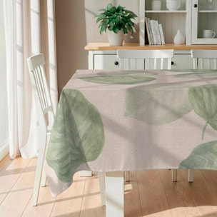 Mantel antimanchas Elephant Ear - 100% algodón -