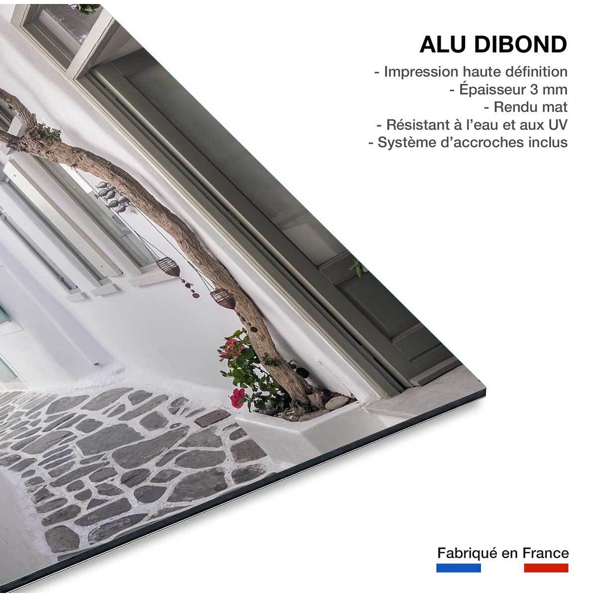 Tableau bougainvilliers paros Tableau alu Dibond