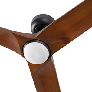 HEYWOOD L LED Ventilateur noir/bois foncé DC