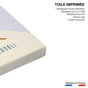 Tableau ski et dolomites Toile imprimée