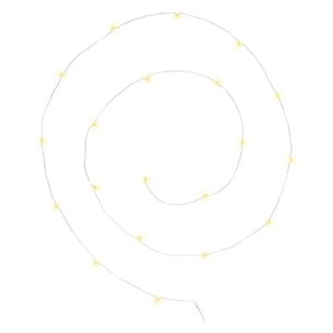 Guirlandes "Anya" 20 microLED à pile argent blanc chaud L190cm