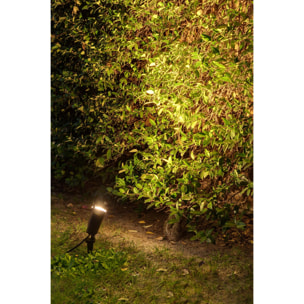 TONI Aplique/estaca negra