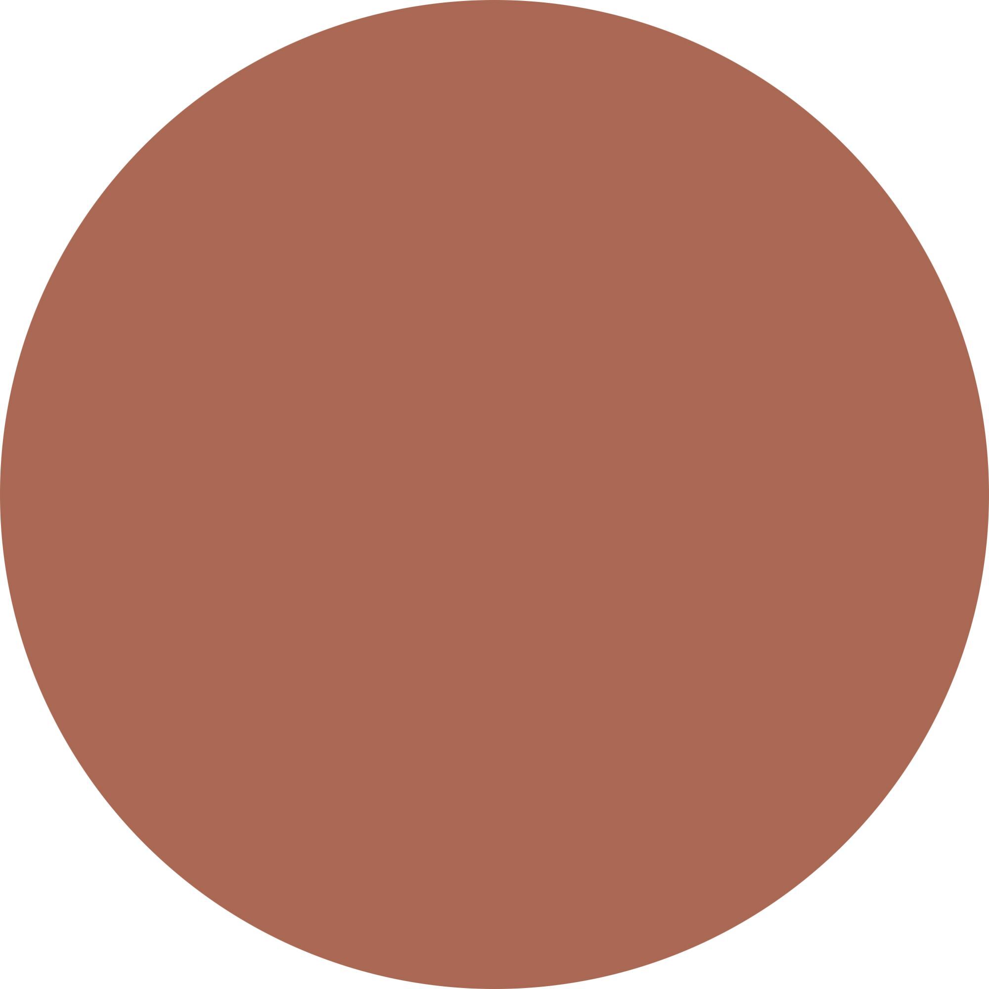 BLURRING TOUCH – POWDERY LIPSTICK Rossetto effetto velluto con applicatore cushion