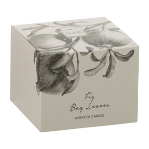 J-Line bougie parfumée Figue Baie Feuilles - small - 50H