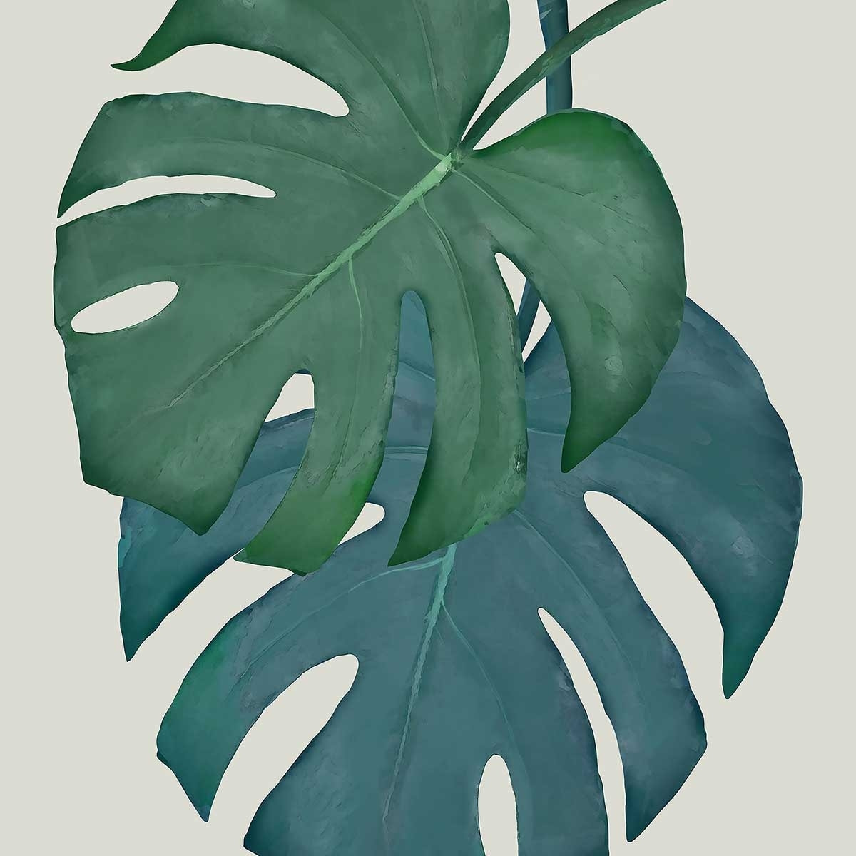 Affiche Monstera turquoise Affiche sous cadre bois
