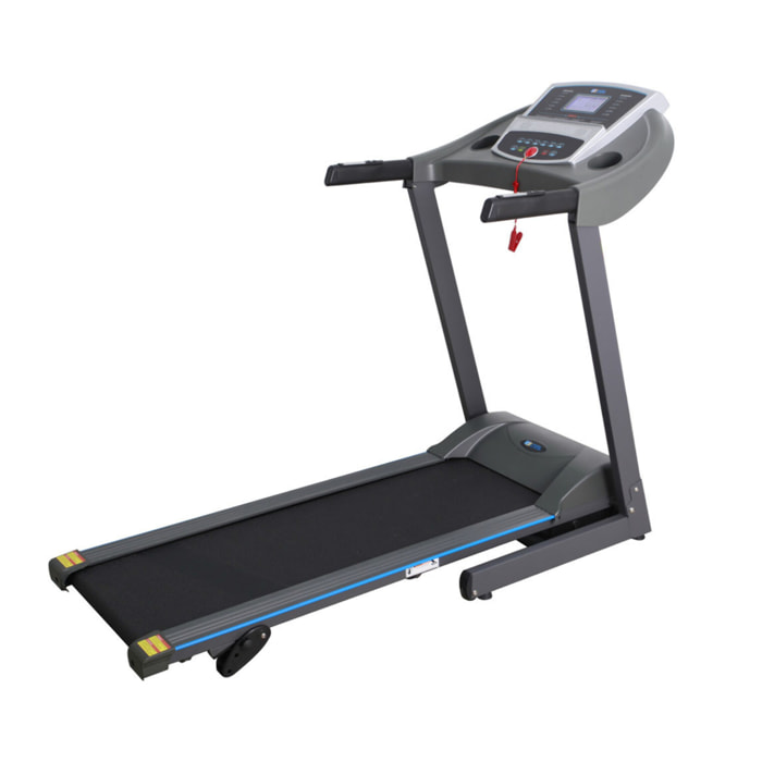 Tapis de course motorisé "Usain"