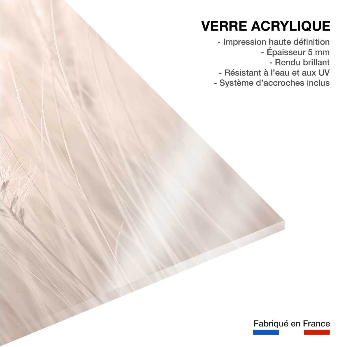Tableau blé poudré Tableau plexiglas