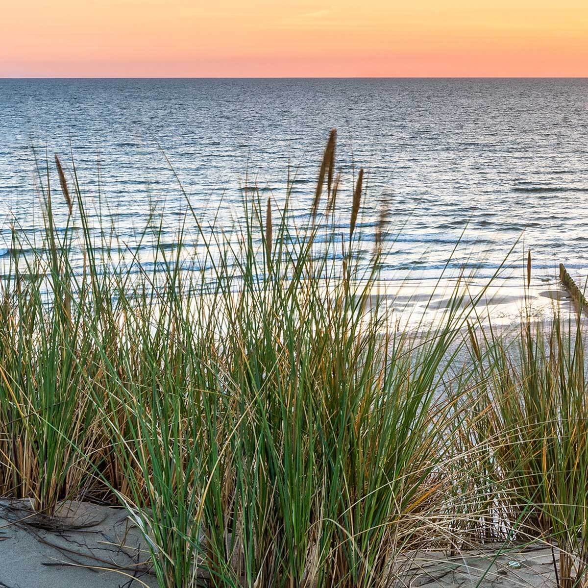 Tableau plage au lever du soleil apaisant Toile imprimée
