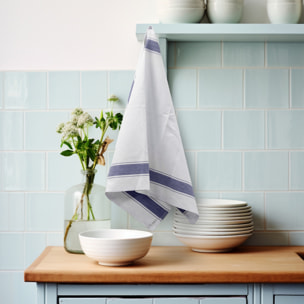 SET 6 STROFINACCI GRECALE 57X90 CM DIS. SPIGA COLORE BLU