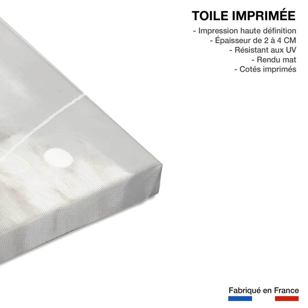 Tableau abstrait et soft line n°2 Toile imprimée