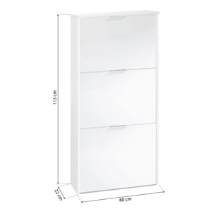 Zapatero de 3 puertas abatibles en blanco 60x113 cm Remi Blanco