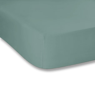 WHITE & WHITE Lenzuolo con angoli singolo 100% cotone raso verde