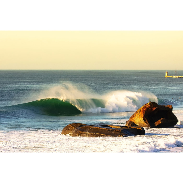 Tableau perfection landaise Tableau alu Dibond