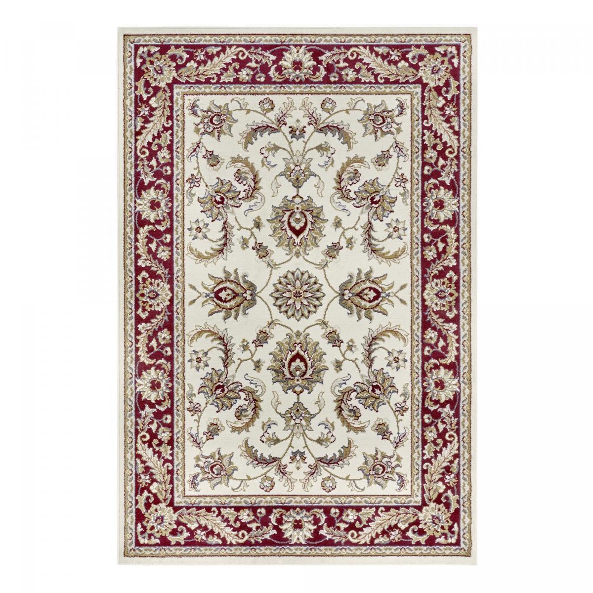 Tapis salon Rectangulaire Oriental