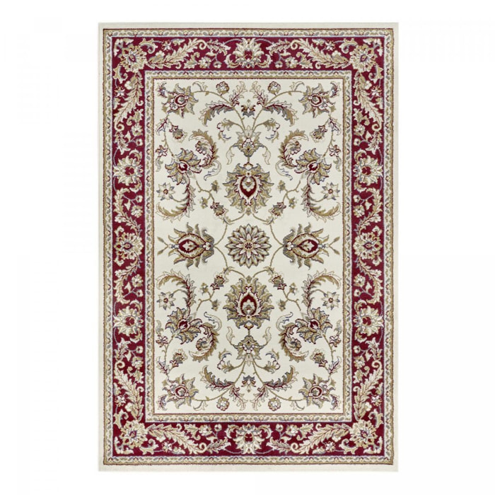 Tapis salon Rectangulaire Oriental