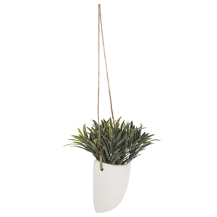 Planta colgante madi 20cm