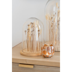 J-Line décoration Cloche Fleurs Sechées - verre/bois - ecru/brun - large
