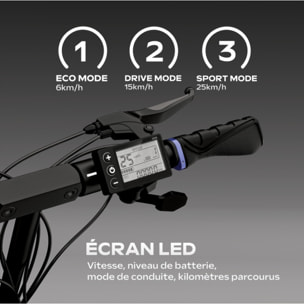 Trottinette Électrique UrbanGlide eCross ONE Red – 600W – 48V 10,4Ah – Autonomie 50km – Tout-Terrain