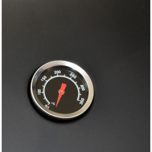 Barbecue gaz LISTO BGZ L1 noir 3 brûleurs sur chariot, 51x34 cm