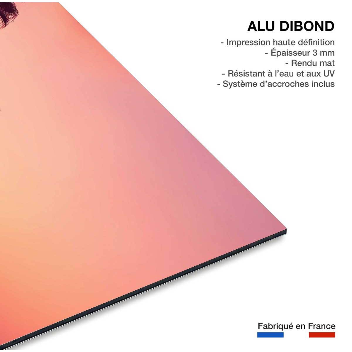 Tableau palmier rose ciel Tableau alu Dibond