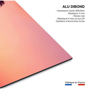 Tableau palmier rose ciel Tableau alu Dibond