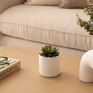 Plante grasse artificielle Nils pot céramique H12cm