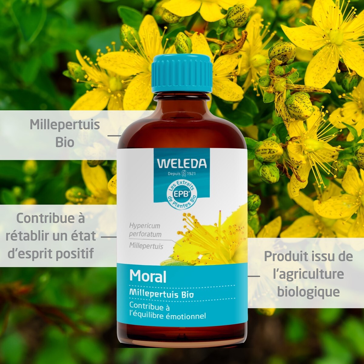 WELEDA -  Duo EPB Millepertuis Bio - Moral  2*100 ml