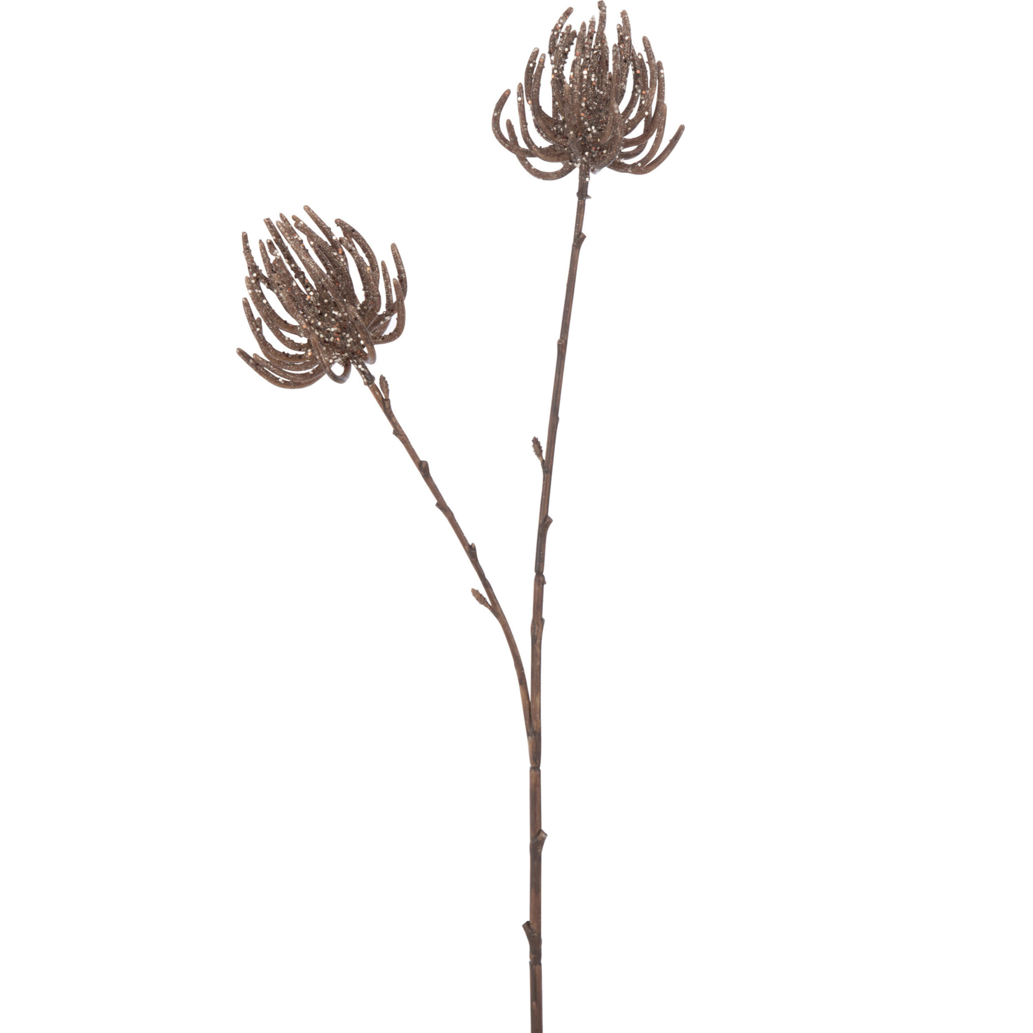 J-Line décoration Branche 2 Fleurs + Paillettes - plastique - brun - 12 pcs