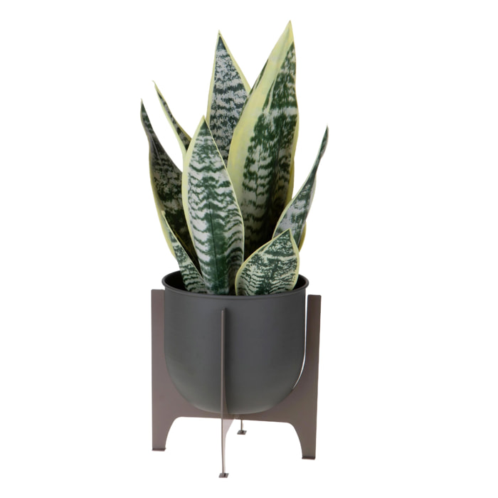 Cachepot Con Alzata - Pezzi 1 - Colore: Verde - 26xH27x26cm - Bianchi Dino -