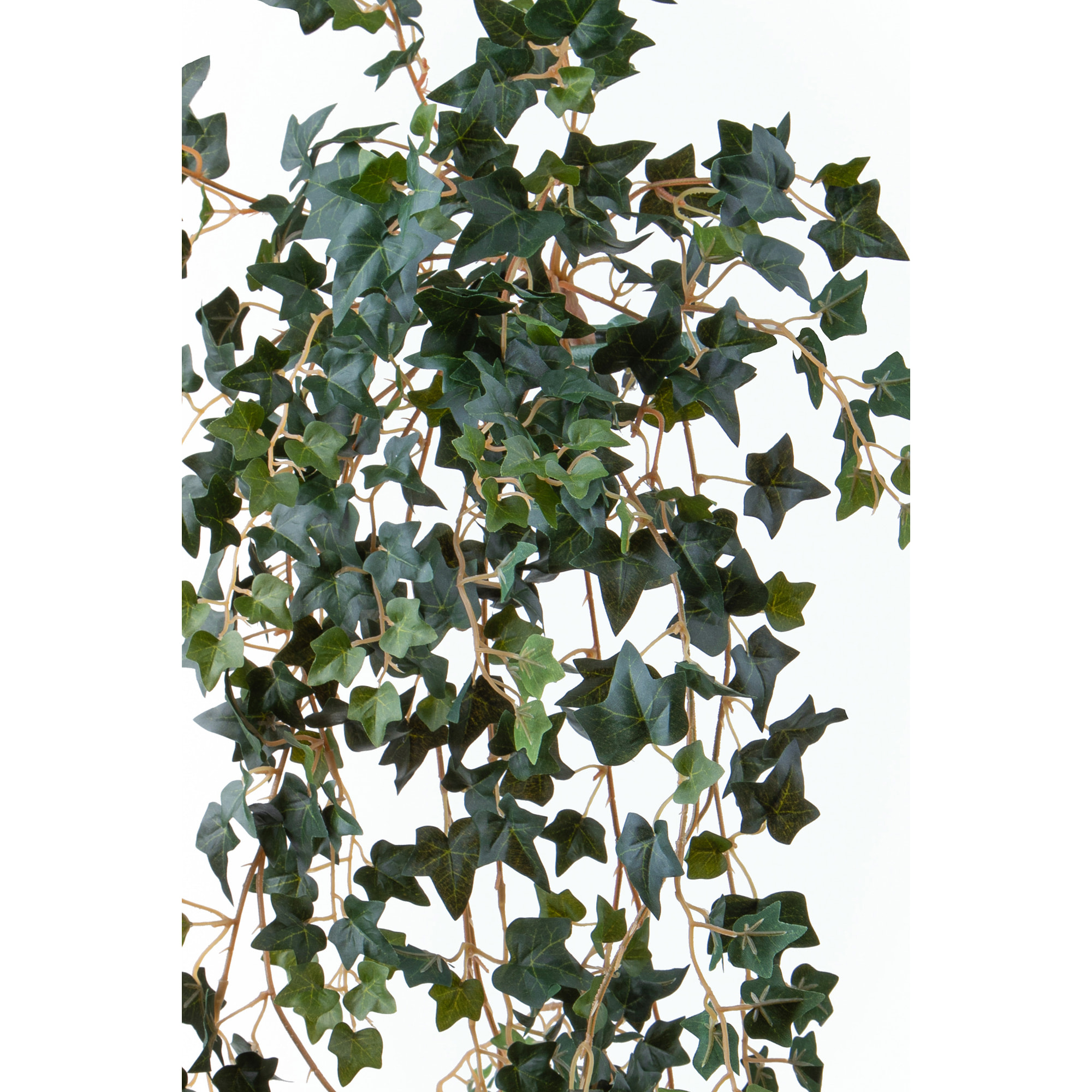 Cadente Mini Edera 498 Folgie 90 Cm - Pezzi 1 - 12X90X5cm - Colore: Verde - Bianchi Dino - Piante Artificiali