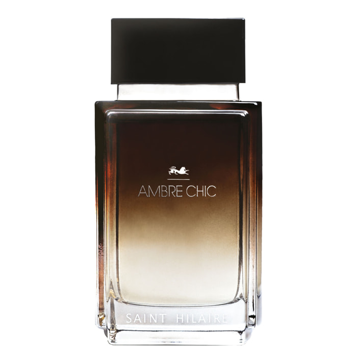 Ambre Chic - Eau de Parfum 100 ml
