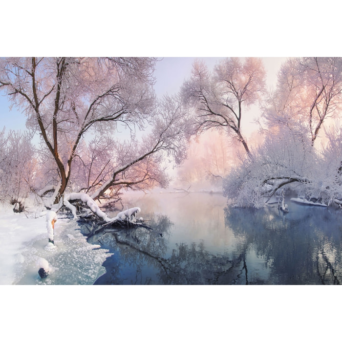 Tableau paysage Christmas lac Tableau plexiglas
