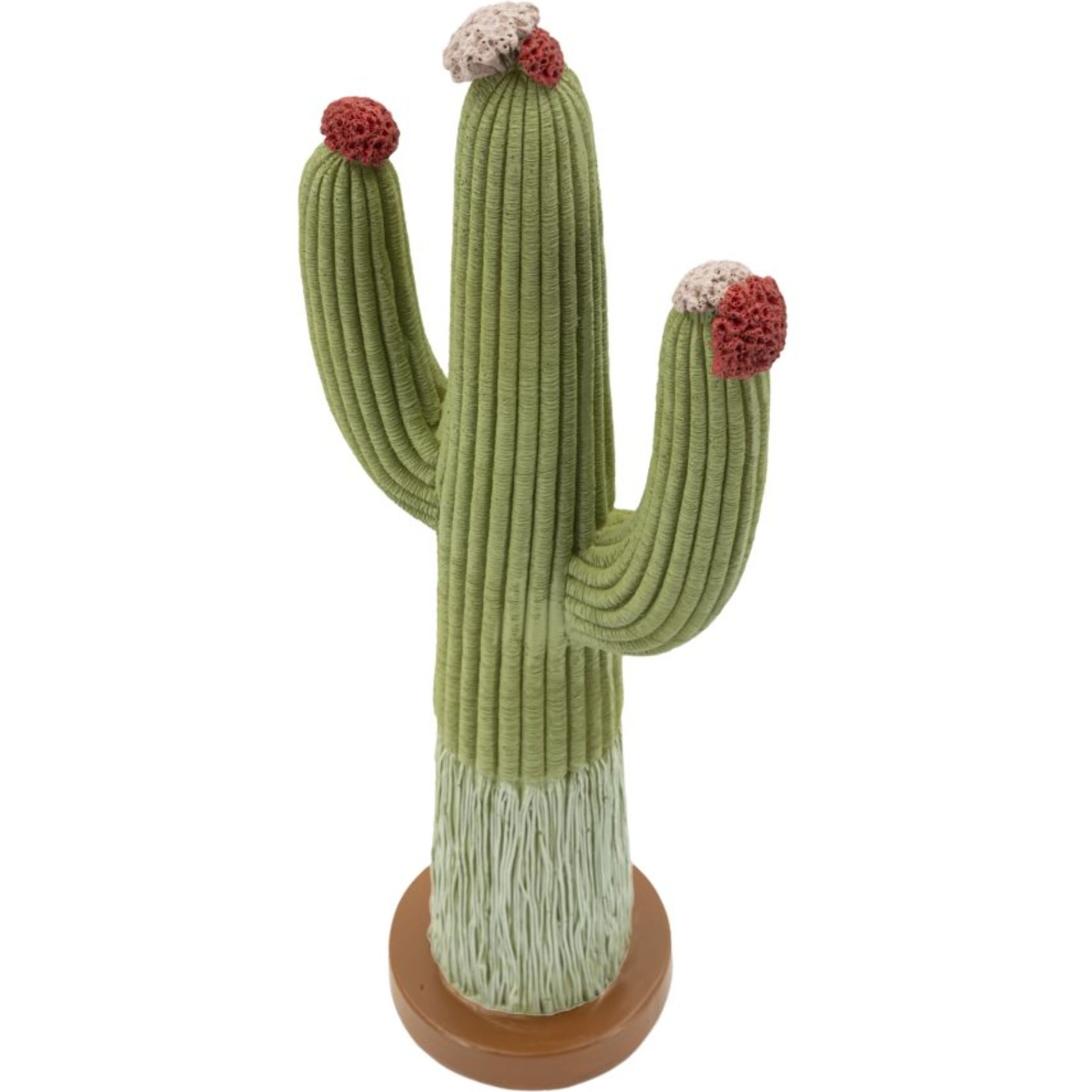CACTUS CM 16,5X11X45