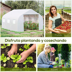 Invernadero para Cultivo de Planta de Plástico 3,5x3x2m