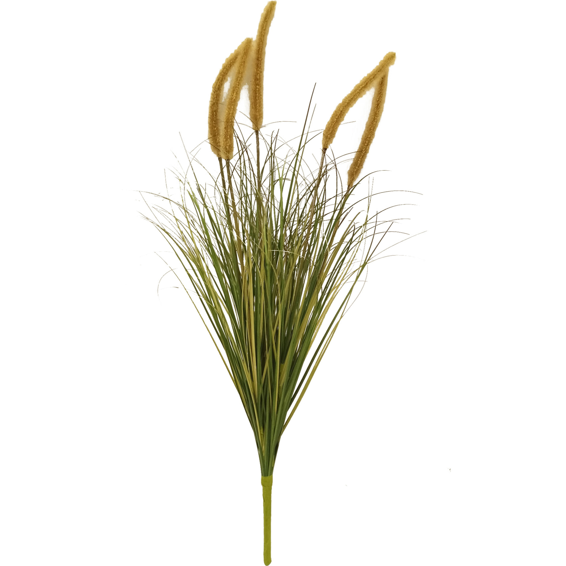 Pennisetum Con Fiori 79 Cm - Pezzi 2 - 20X79X16cm - Colore: Multicolore - Bianchi Dino - Piante Verdi