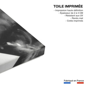 Tableau dalida en 1961  Toile imprimée