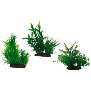 Set piante acquario - Japanese 2 - Amtra