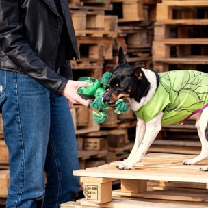 Marvel Hulk Peluche cane igiene dentale For Fun Pets Cerdà