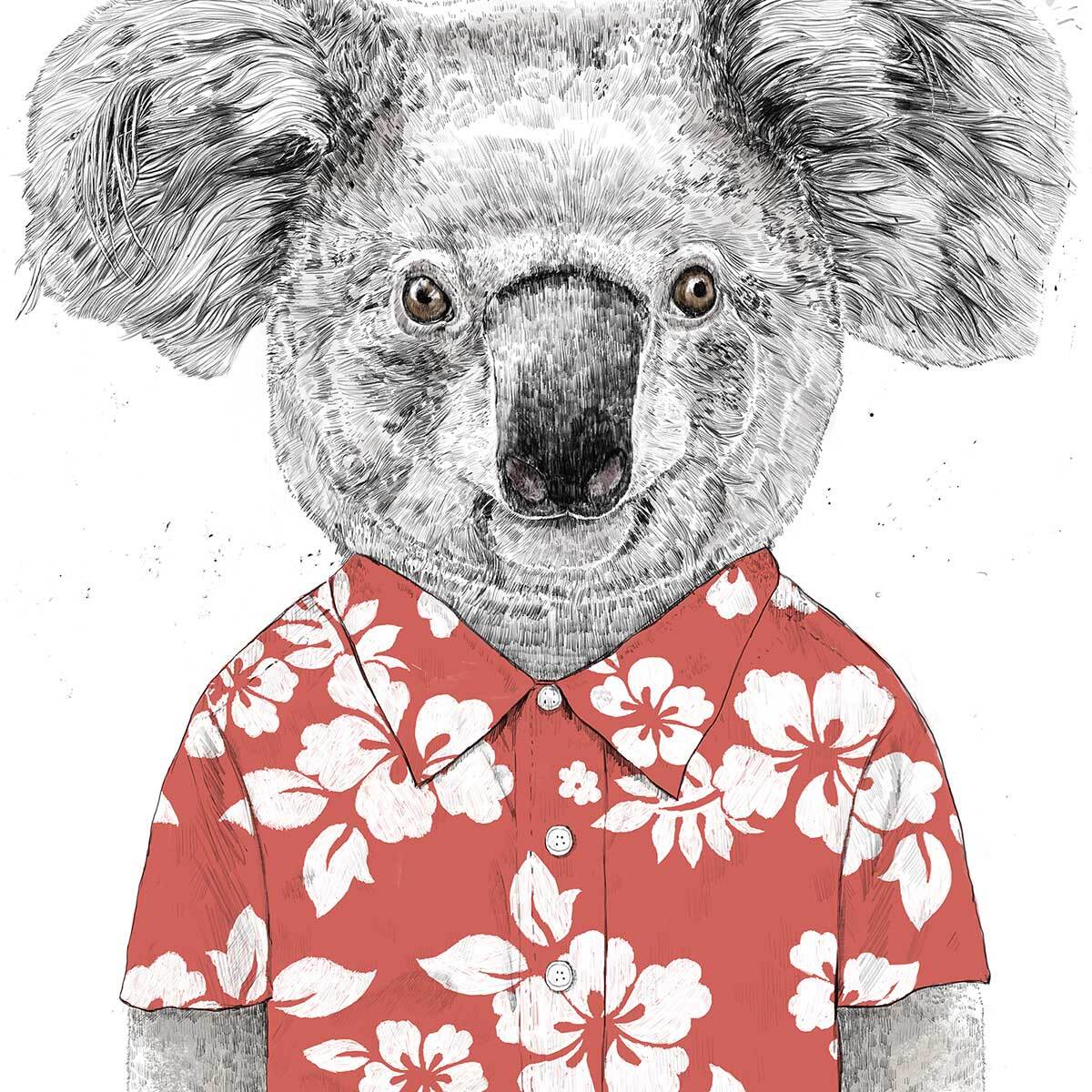 Affiche enfant koala  Affiche sous cadre bois