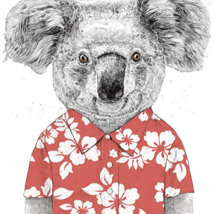 Affiche enfant koala  Affiche sous cadre bois