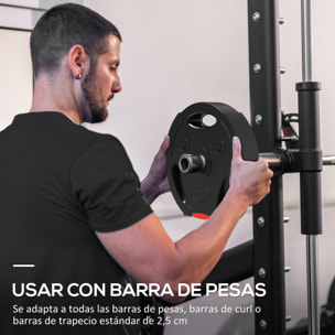 Juego de Discos Pesas de 4 Piezas Discos de Pesas Total 30 kg 2x10 kg 2x5 kg con Orificios de 2,5 cm para Entrenamiento Fitness en Hogar Gimnasio Negro