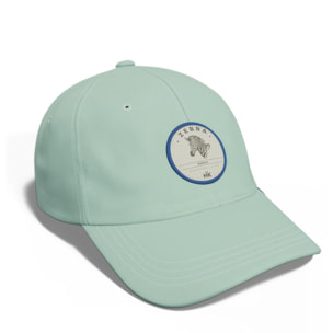 Gorras Hanukeii Zebra Green / Blue