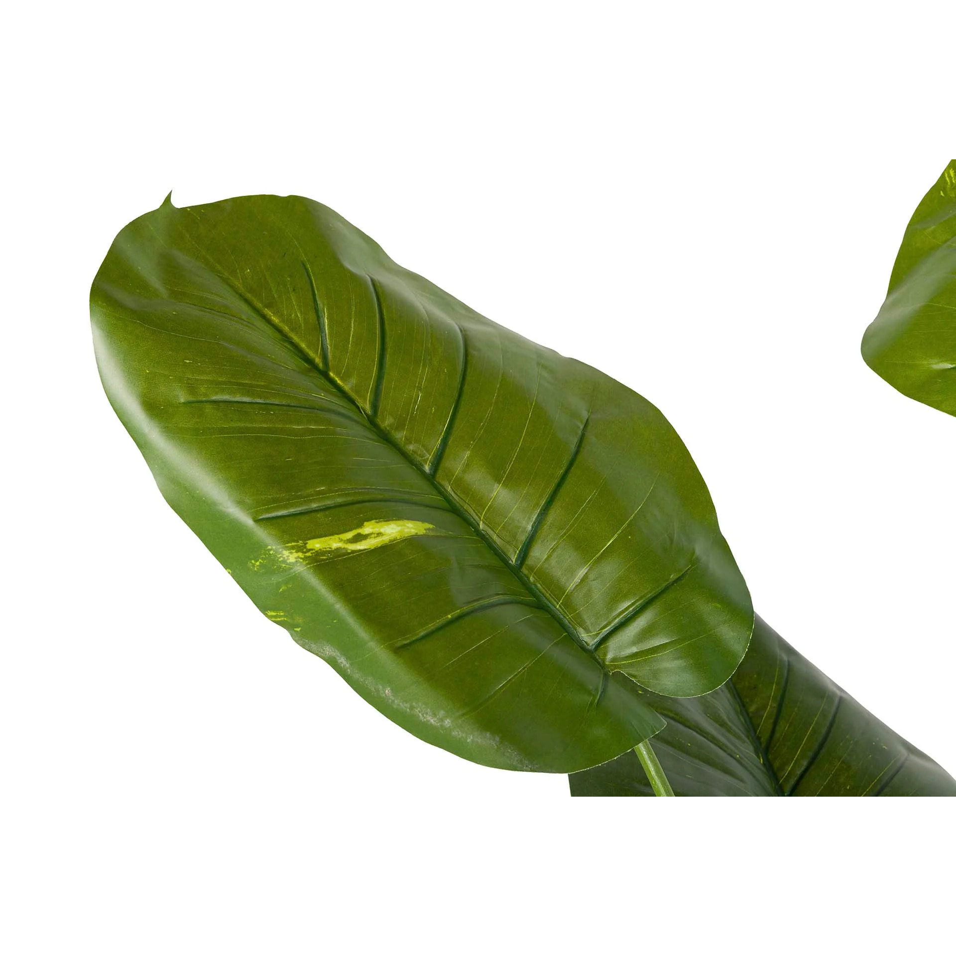 Planta Artificial Rhadhidophora Aureum Con Maceta 80x80x160 Cm