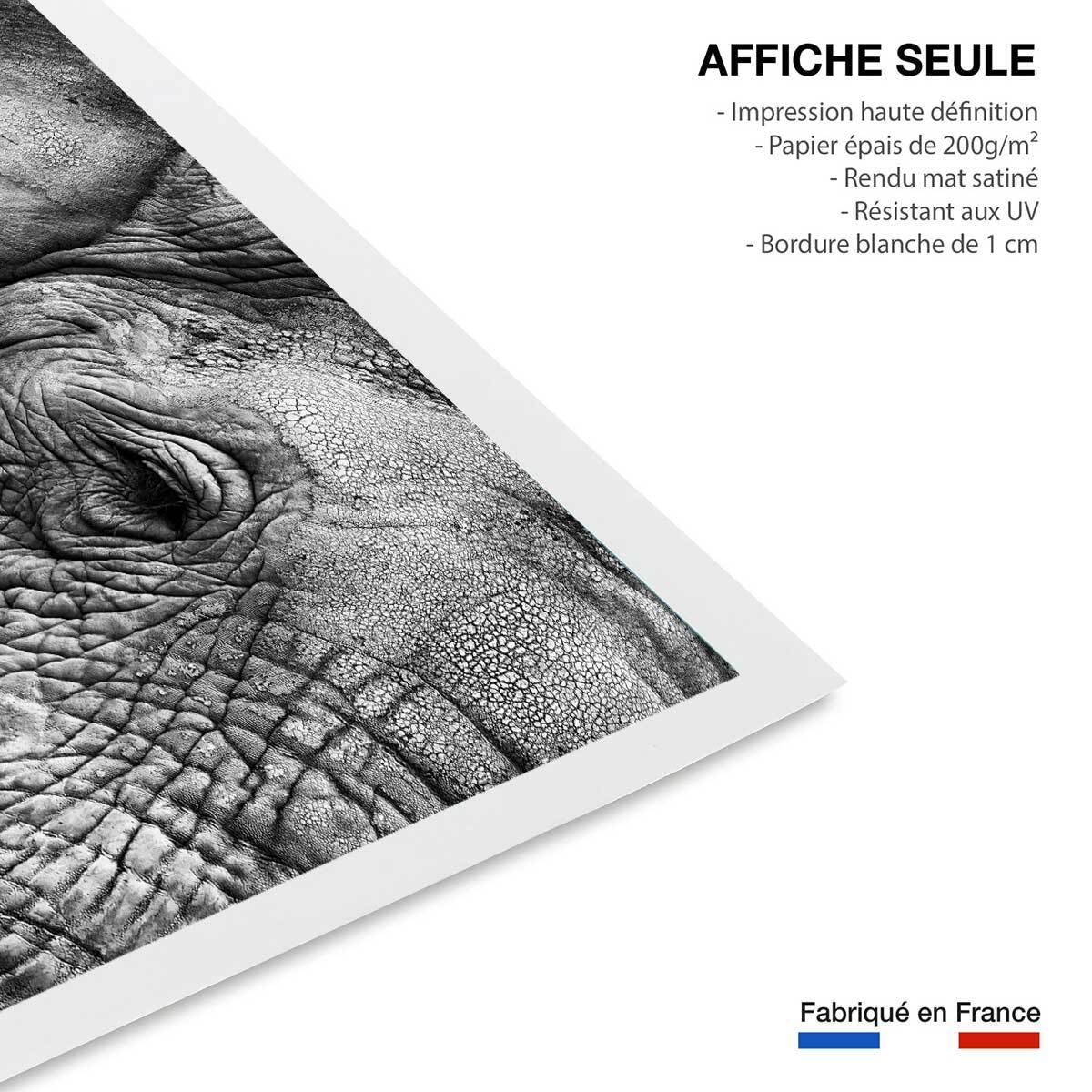 Affiche animaux Peau d'éléphant Affiche seule