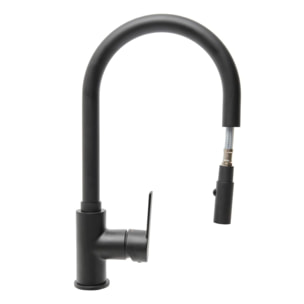 Mélangeur évier Swiss Aqua Technologies B-Way avec bras pivotant, 2 jets noir mat SATBSBW183