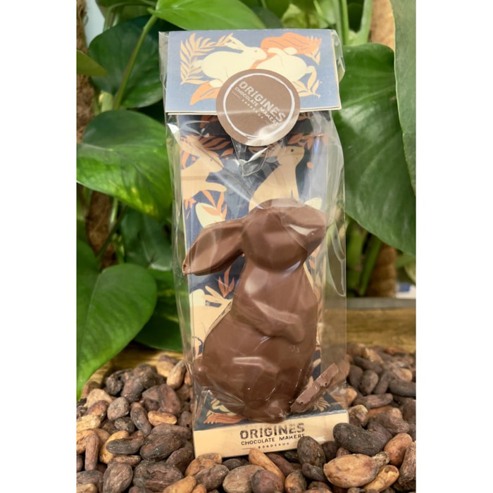 Lapin chocolat Noir 70% - Pâques - garnis de friture - 75g Bio