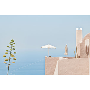 Tableau agave au bord de mer Tableau plexiglas