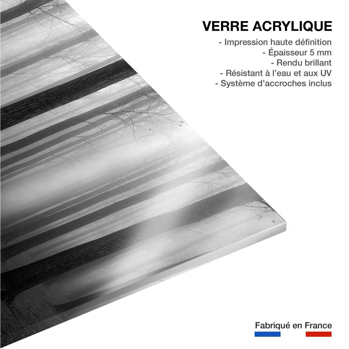 Tableau nature foggy weather Tableau plexiglas
