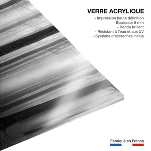 Tableau nature foggy weather Tableau plexiglas