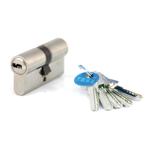 Cylindre de sûreté TESA T60 débrayable - Nickelé - 30 x 30 - MV 3 - 3 clés - T65D3030NKA